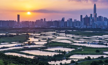 全年住宅成交量跌至五年低位 未來發展視乎政府政策