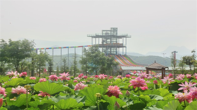 桂貴港灣區引進文旅項目——荷美覃塘開園迎客