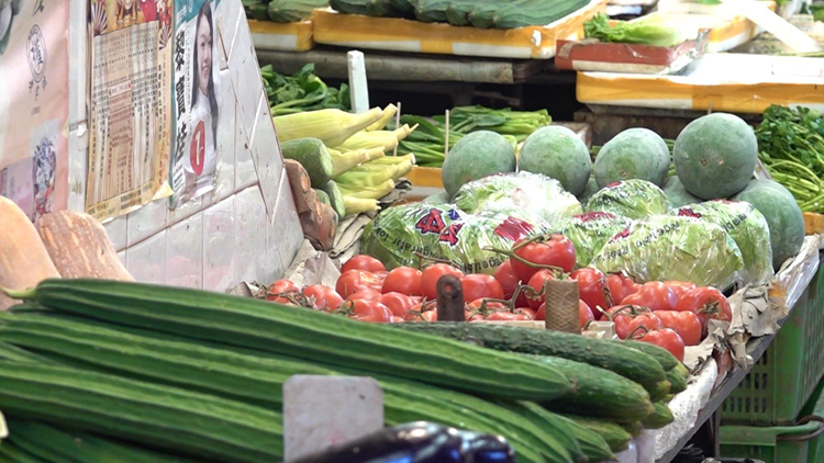 3日內地供港蔬菜逾2600公噸 鮮活食品供應充足穩定