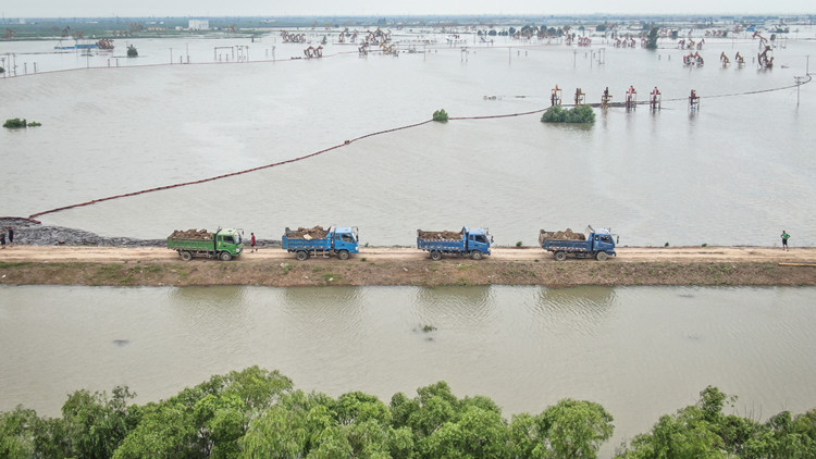 遼寧盤錦、阜新等9市洪澇 12.15萬公頃農作物受災