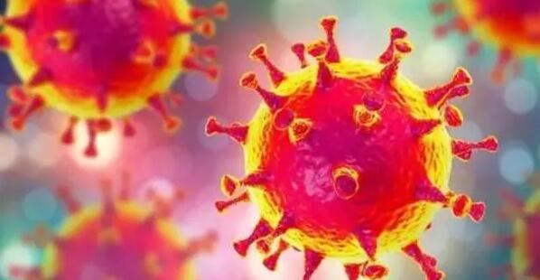 估價署署長蕭家賢及物流服務署署長陳嘉信因密接正隔離