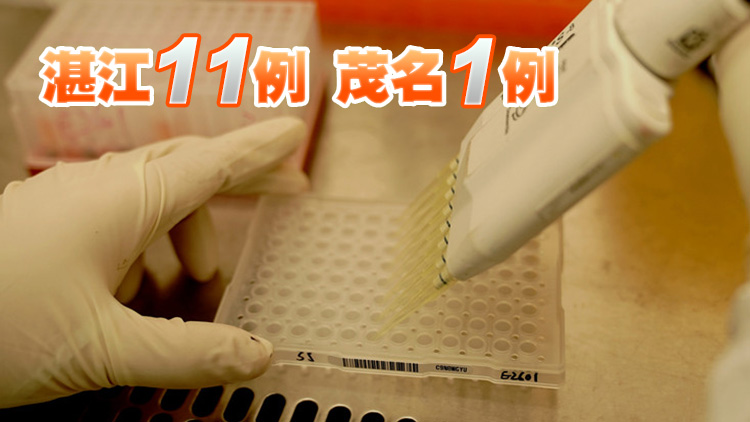 廣東13日新增本土確診12例 無症狀感染者1例