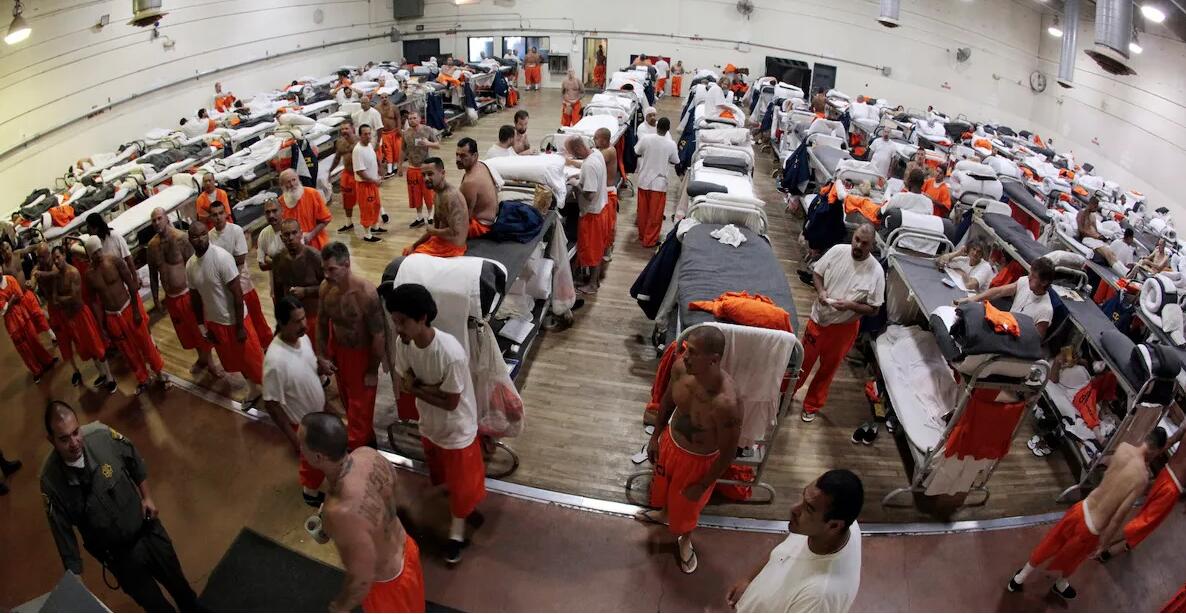 【國際觀察】清算美國強迫勞動血帳單