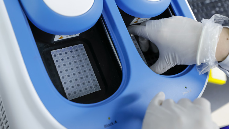 廣東15日新增本土確診6例 無症狀感染者8例