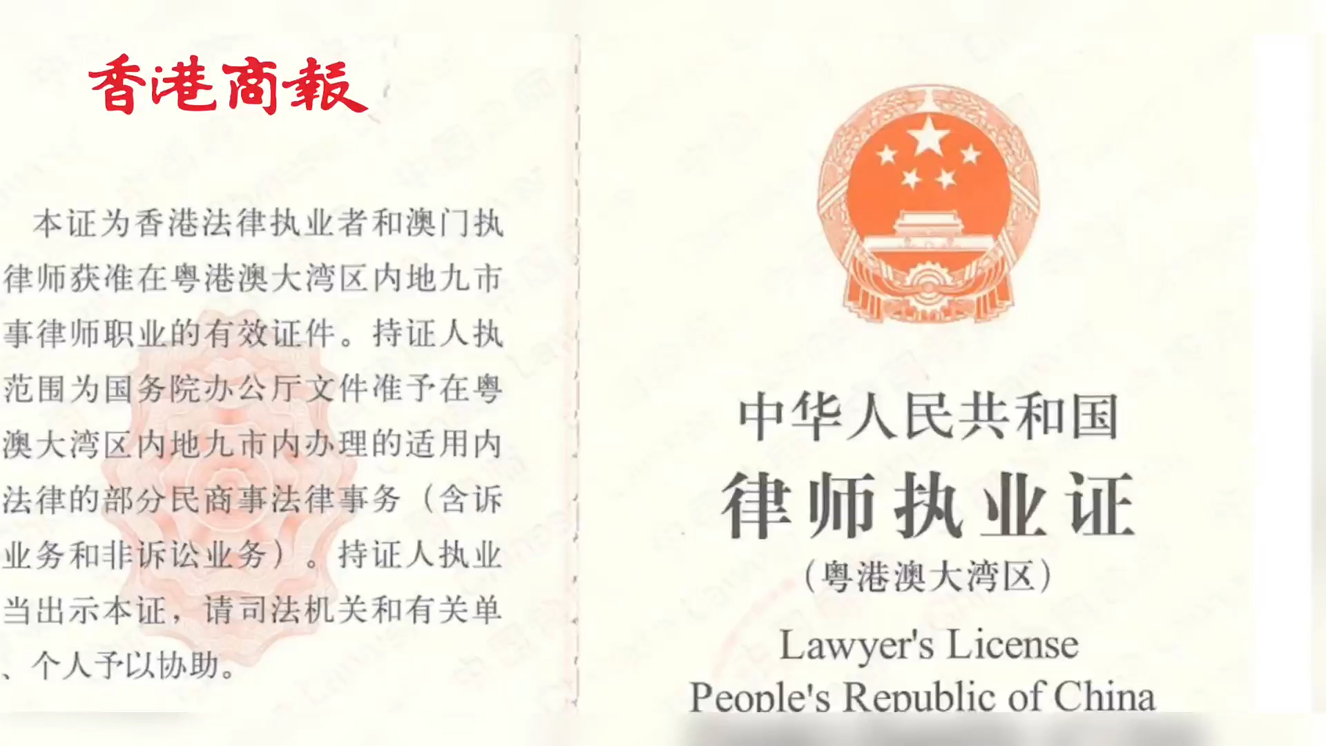 有片｜【融通大灣區】跨境執業成熱潮  「人才通」助力灣區大融通