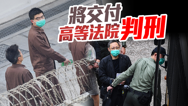 亂港分子黃之鋒戴耀廷等29名被告承認「串謀顛覆國家政權罪」