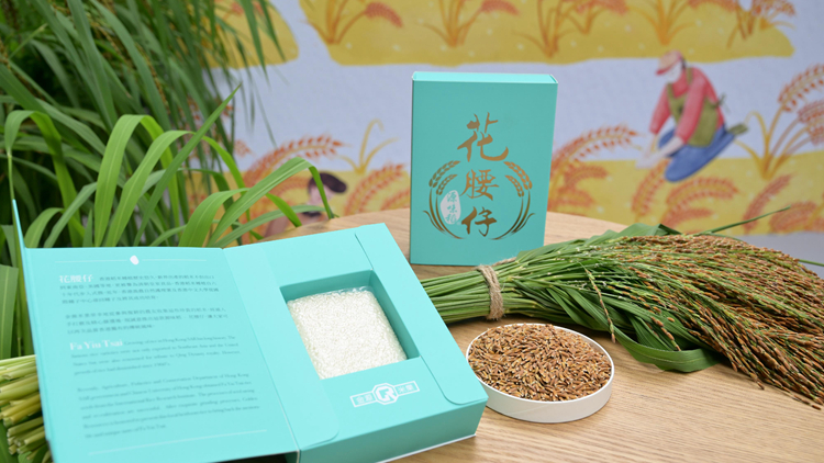 漁護署推出復育稻米「花腰仔」 市民可透過「本地魚菜直送」訂購