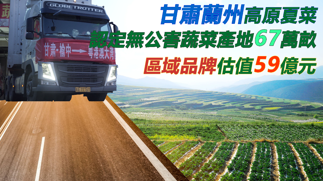 甘肅蘭州高原夏菜品牌顯效估值近60億