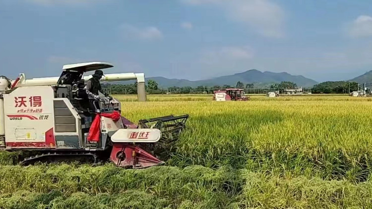 汕尾海豐以黨建引領鄉村振興 「紅色引擎」驅動產業「加速跑」