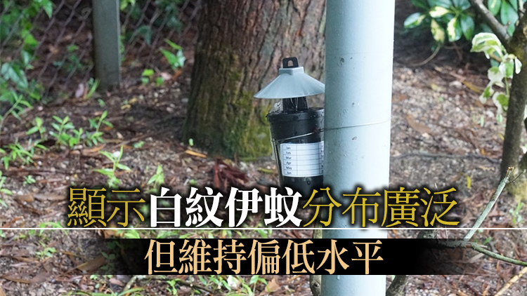 食環署：7月白紋伊蚊誘蚊器指數顯著回落至9.7%
