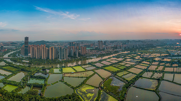 穩經濟 農行新增貸款創新高 拓線上 橫跨城鄉護城河顯現