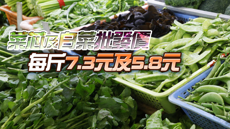 8月31日內地供港蔬菜2700公噸 鮮活食品供應充足穩定