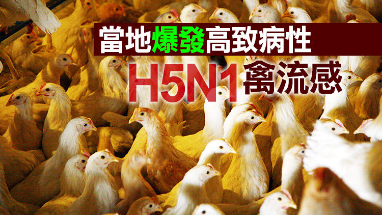 本港暫停進口​葡萄牙埃武拉區禽肉及禽類產品