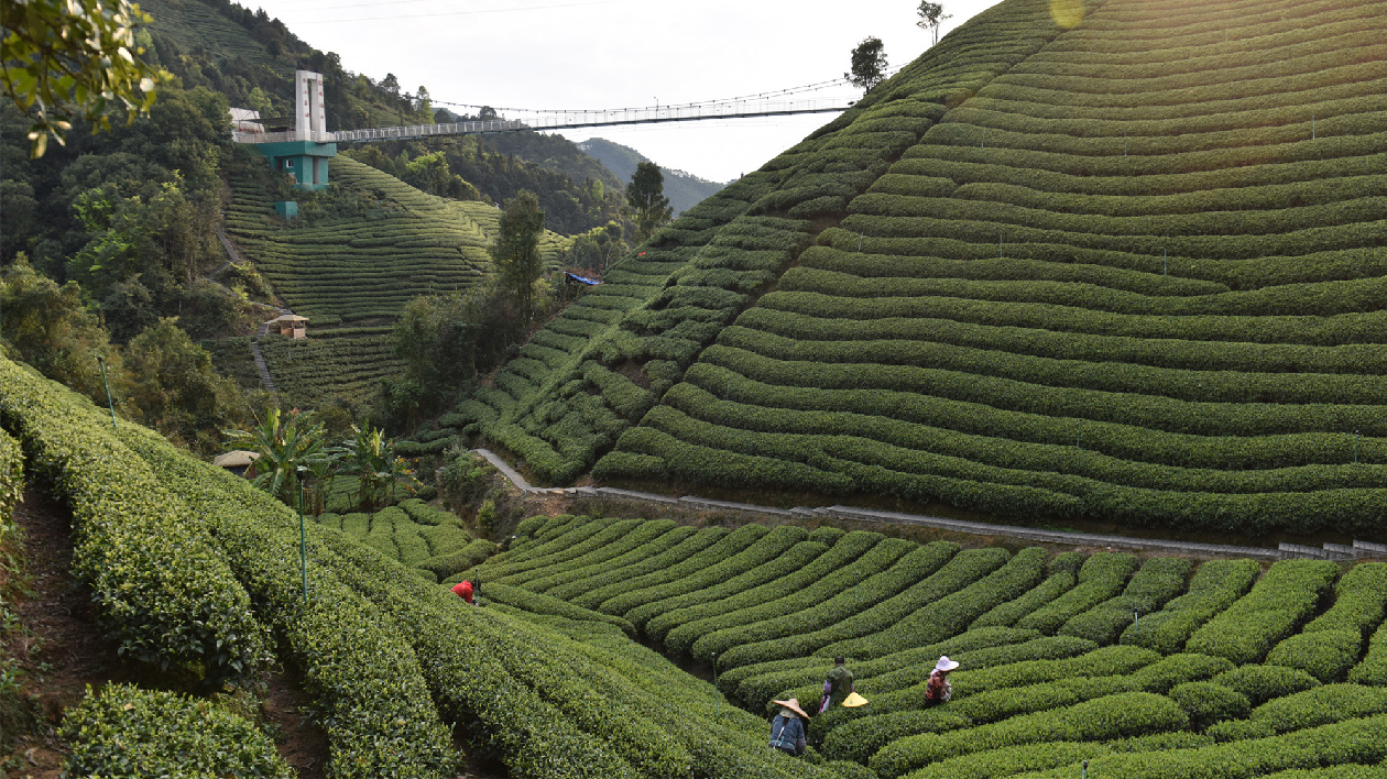 廣西賀州市躋身全國康養二十強市
