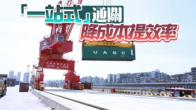 【融通大灣區】「WGO+大灣區組合港」啟動 莞石龍港助力外企發展