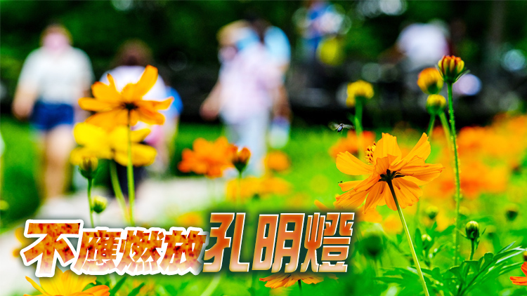 漁護署：中秋節郊遊須慎防山火 保持郊區清潔