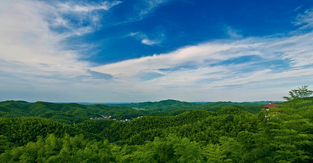 【高質量發展看湖南】34個縣竹產業產值超1億 湖南竹產業「節節高」