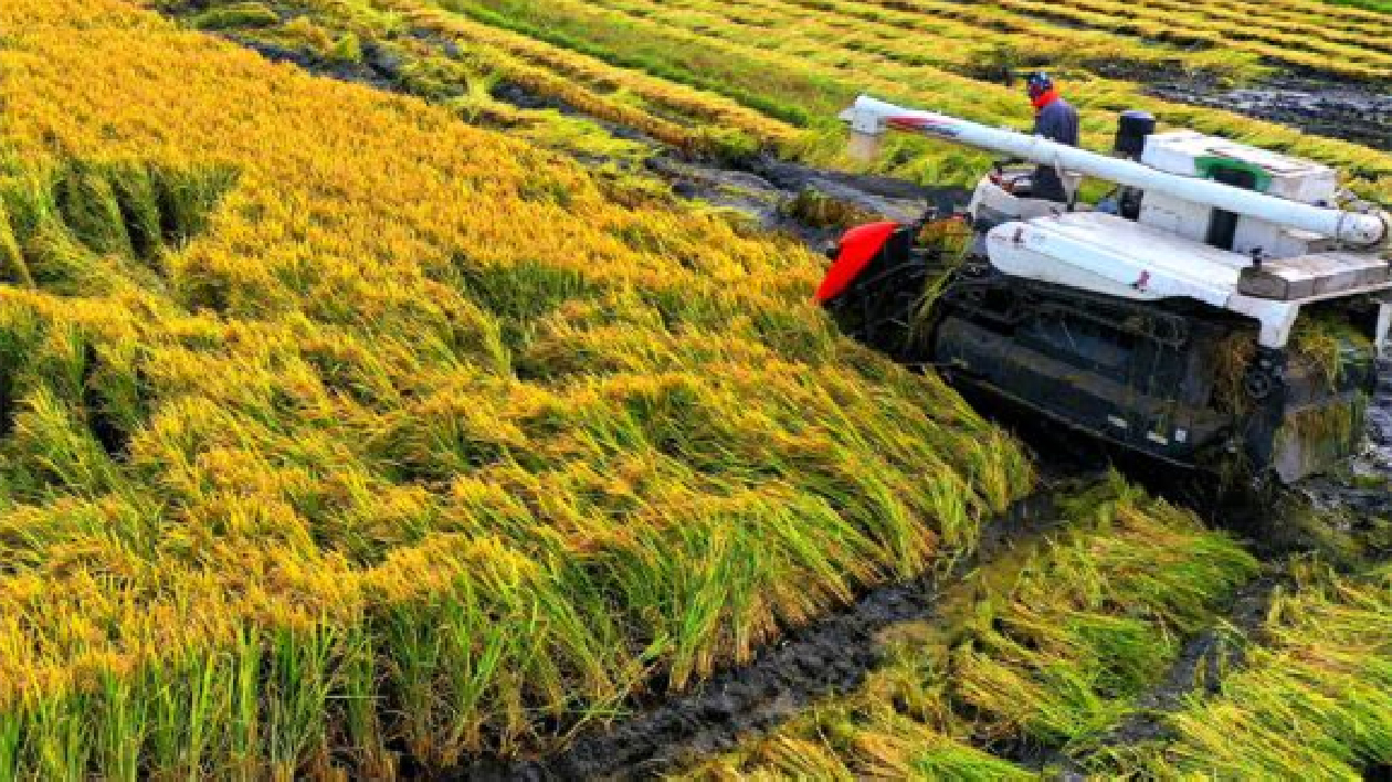 開拓營銷渠道，助力品牌躍升！2022吉林大米北京市場渠道招商會舉行