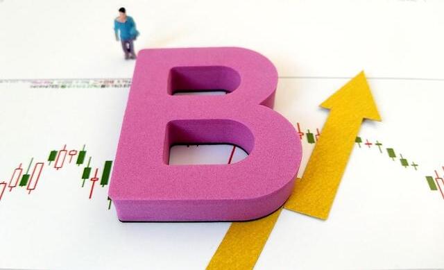 【快評】B股市場為何牛冠全球