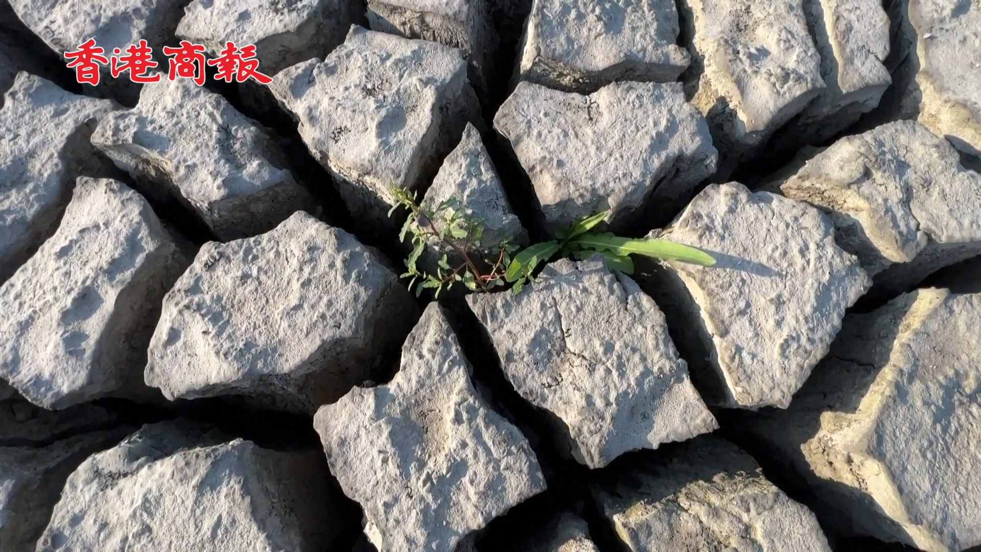 有片 |  聯合國秘書長古特雷斯:氣候影響正在進入未知的破壞之境