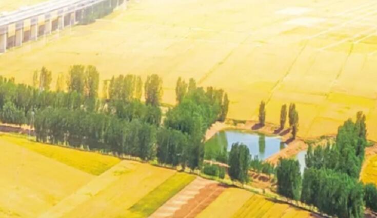 吉林糧食品牌建設與發展論壇將於9月16日在吉林四平舉行