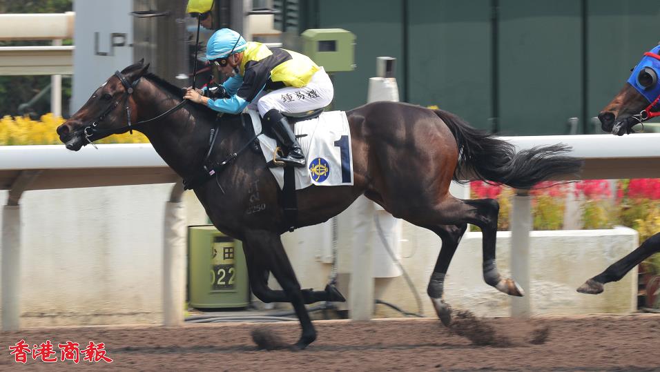 有片丨合衷共濟一騎絕塵 鍾易禮次戰開勝門