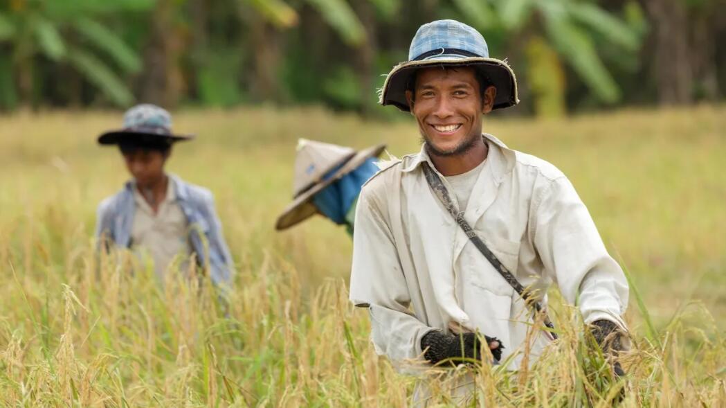 【聚焦東博會】中國攜手東盟獻「糧」計