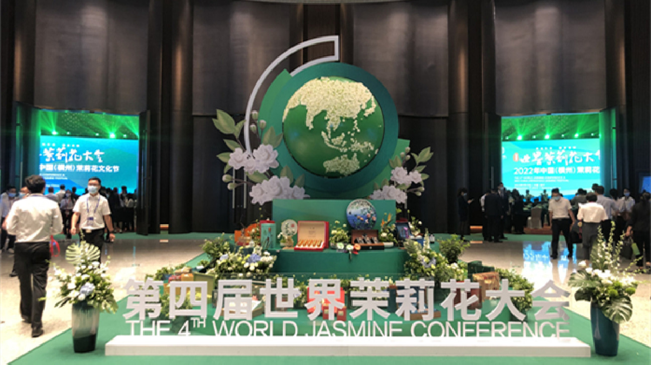 桂橫州：探索出廣西鄉村振興「茉莉樣板」