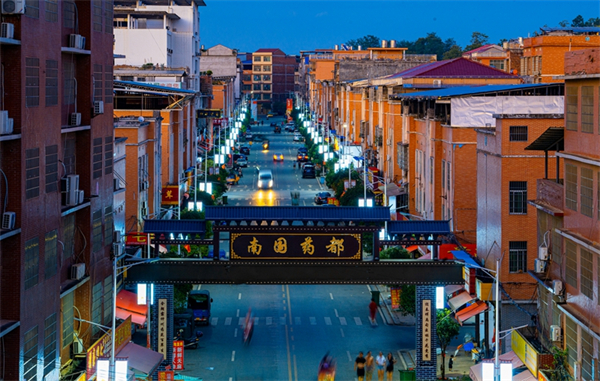 【高質量發展看湖南】小鎮大產業 廉橋中藥材市場年交易額破120億