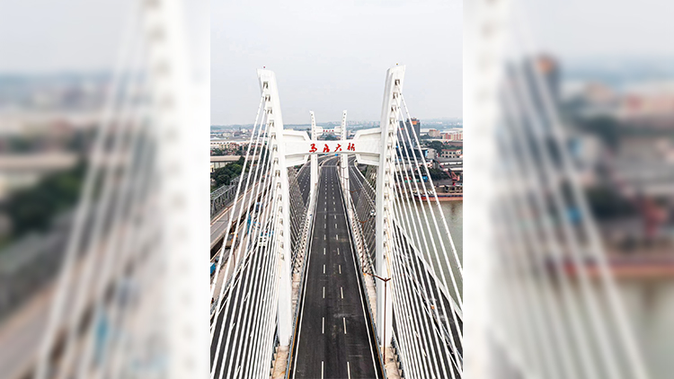 融通大灣區 | 馬房特大橋通車!肇慶成功「牽手」佛山加快融灣