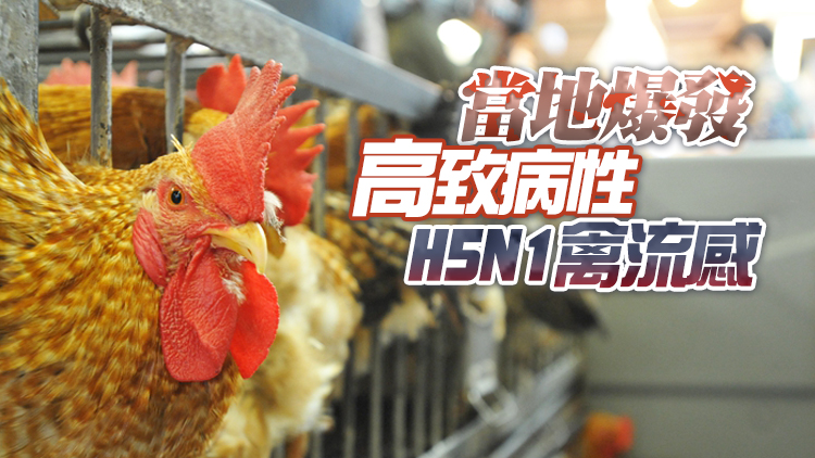 本港暫停進口波蘭羅茲省Łeczycki區禽肉及禽類產品