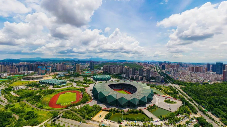 扎根深圳龍崗 五位港人的雙城故事