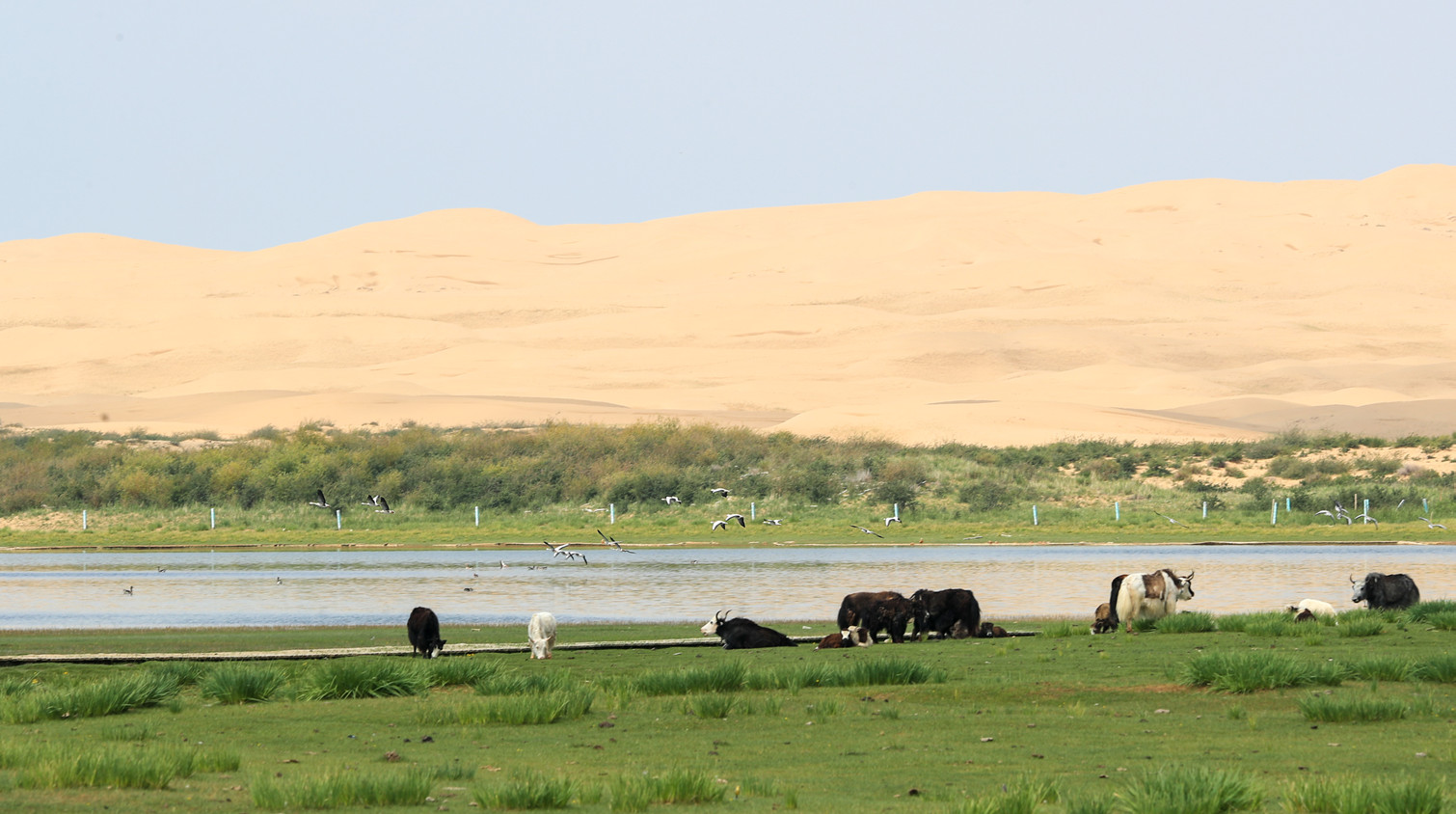 十年內地單位GDP 能耗強度累降26.4%