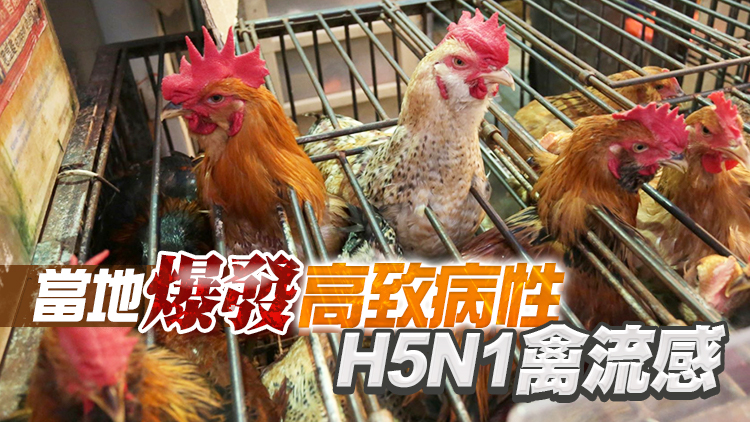 本港暫停進口英國諾福克郡Breckland區禽肉及禽類產品