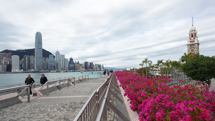 【金融瞭望】香港經濟轉型呼喚人力資源配套