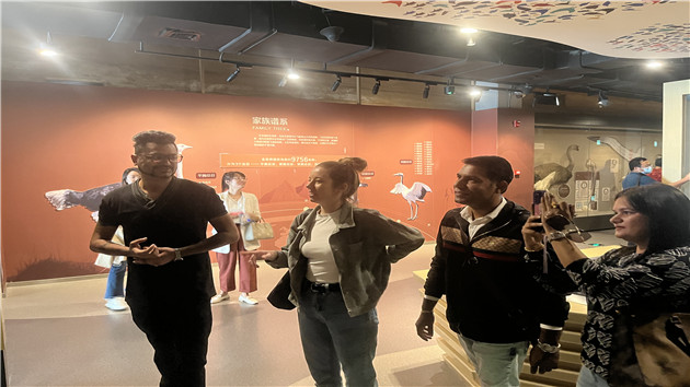 山東東營：感受金秋黃河口美景