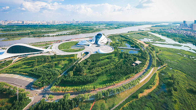 哈爾濱：十年蝶變 繪就宜居幸福新畫卷