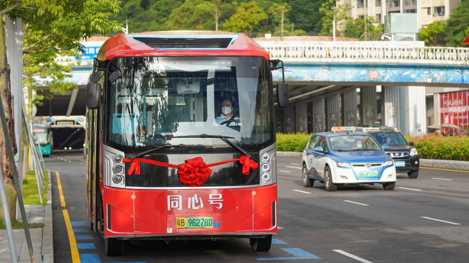 迎國慶！深圳中英街「同心號」巴士亮相