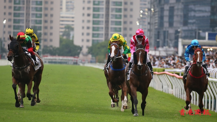 國慶賽馬日沙田馬場上演 聚才衛冕國慶盃