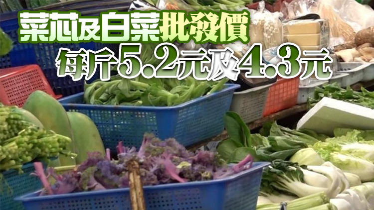 10月1日內地供港蔬菜供應正常 鮮活食品供應充足穩定
