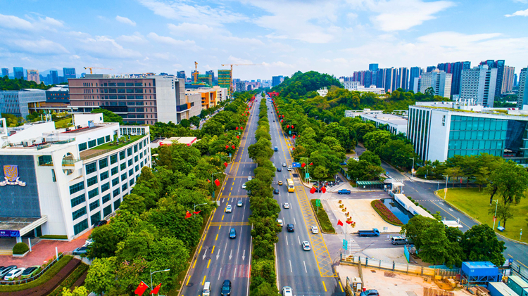 國慶假期第二天，深圳市民這樣過