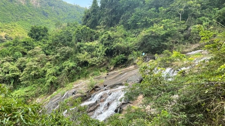 重陽登高 深圳馬巒山郊野公園成網紅打卡地