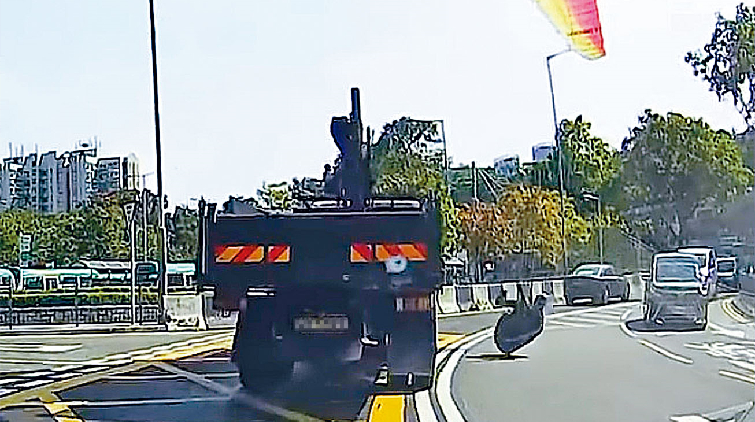 滑翔傘急降撞貨車 報告指或受上升暖空氣及風勢影響致失控