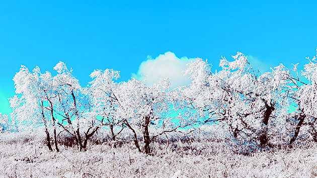 萬水千山總是情｜五花山色披銀裝 龍江入秋迎初雪