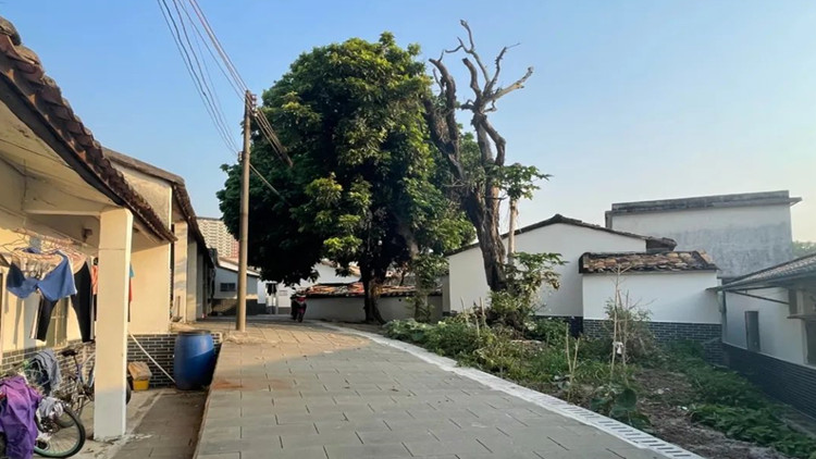 港深地名故事丨那些「諧音」化的深圳地名