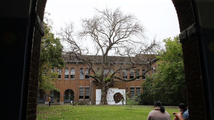 台灣大學世界排名大退74名跌至近200名