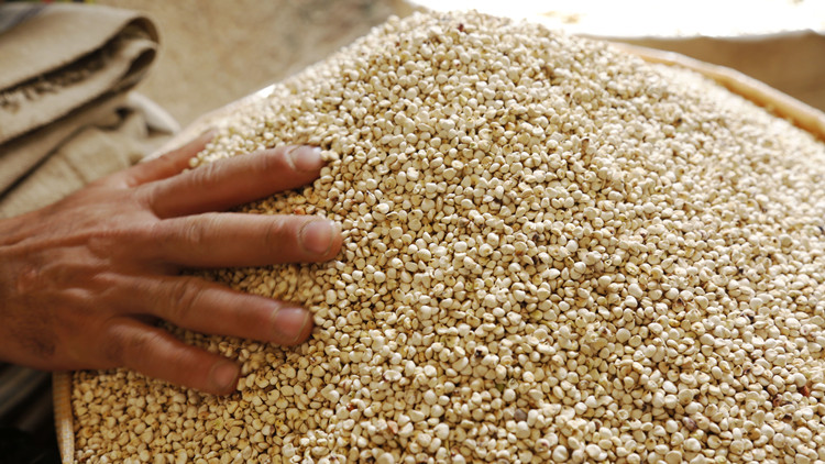 世界糧食日全球活動呼籲「不讓任何人掉隊」