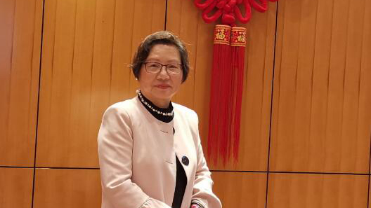 葉順興：中共二十大意義非凡 助港開啟「一國兩制」新篇章