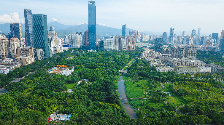 生態美 人文美 產業美 深圳中心城區開創經濟與生態共贏格局