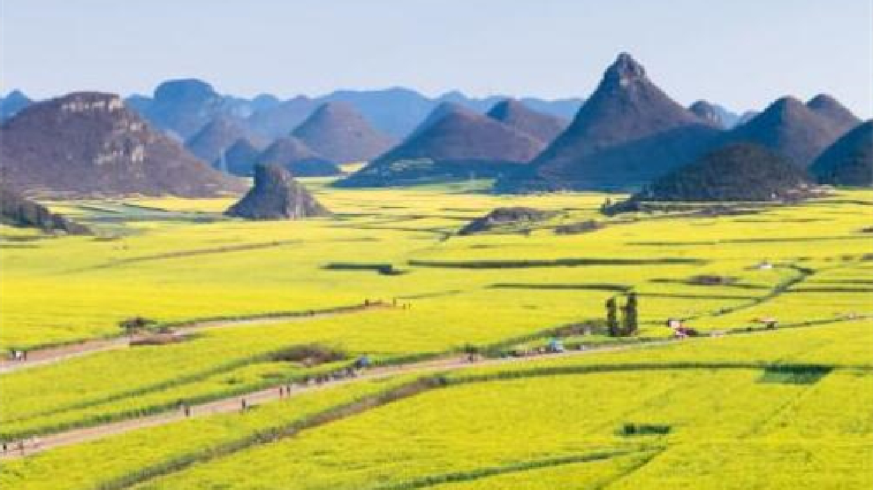 吉林代表熱議全面推進鄉村振興